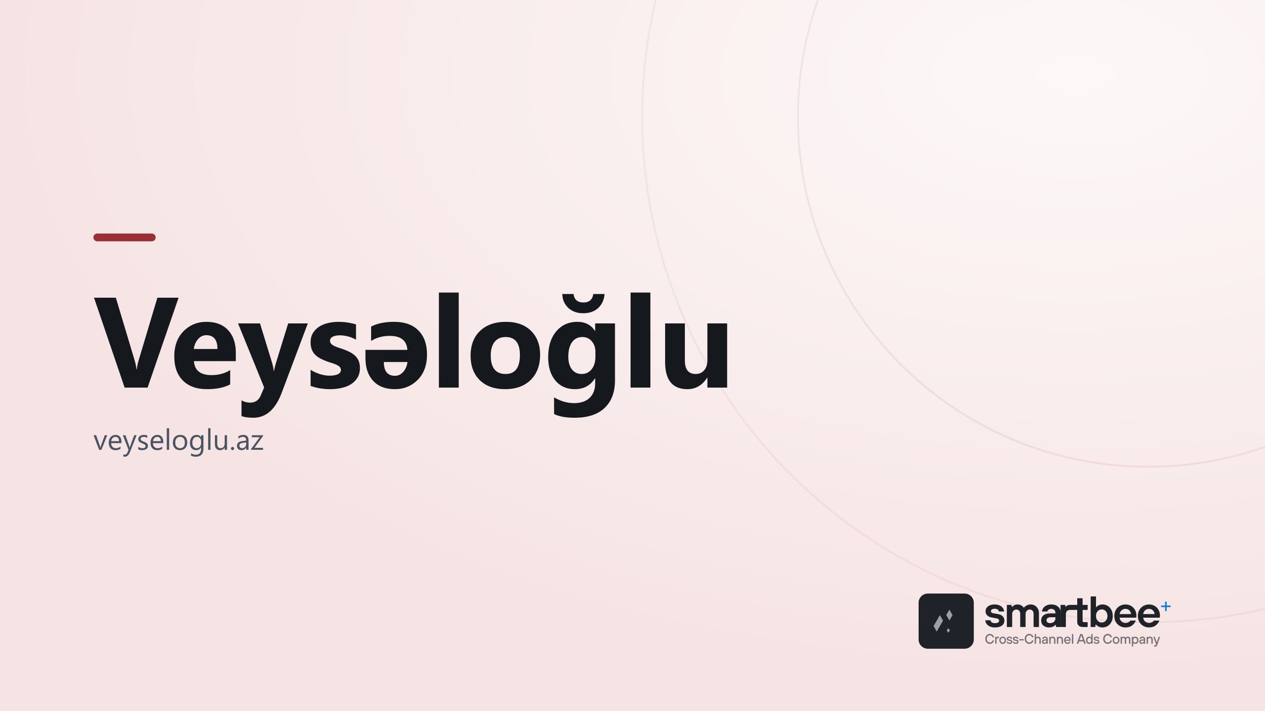 Группа компаний Veyseloglu